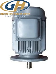 Động cơ mặt bích TECO