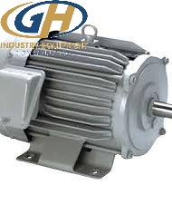 Động cơ 3 phase Mitsubishi