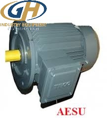 Động cơ chống nổ TECO