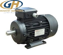 Động cơ 3 phase TECO